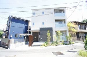 シャローテイル