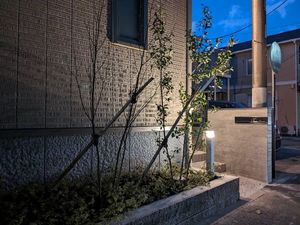 ツリー　ツリーズ 102号-14