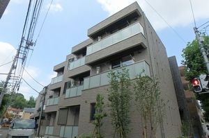 スカビオサ高石