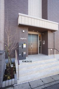 Daffodils 102号-13