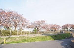 グレースT 201号-13