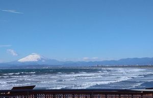 シャーメゾン茅ヶ崎東海岸 202号-14