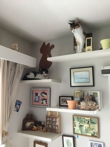 藤沢市西富二丁目戸建Ｂ 101号-3