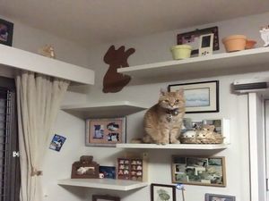 藤沢市西富二丁目戸建Ｂ 101号-4