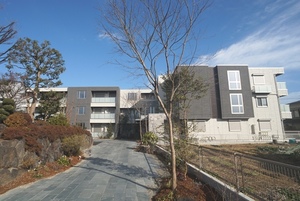 Ｆｏｒｅｓｔ　Ｓｔａｇｅ 101号-1