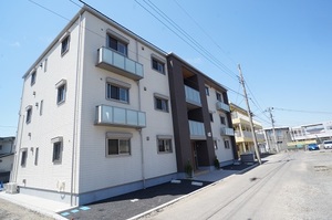 ヒメシャラ 303号-12