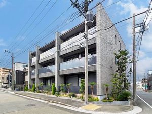 コリーナステラータ 101号-1