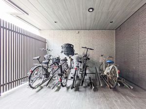 コリーナステラータ 101号-12