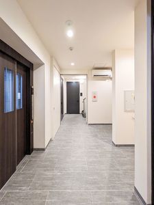 コリーナステラータ 101号-14