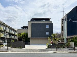 ピン　シャン 302号-13