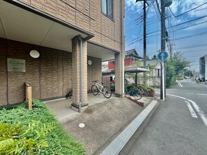 エヴァーグリーン 202号-2