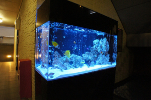 グレンフィディック 306号-3