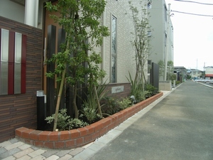 Ａｐｉｏｎ 201号-13