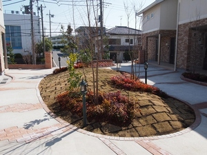 サンテラス　Ⅱ 201号-5