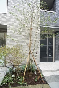 HALE LUANA 201号-13