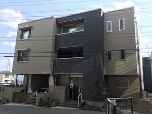 ピーノ・ハルディン