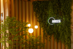 アウリスタ 103号-15