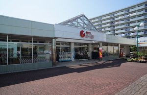 ヒルトップN 201号-14