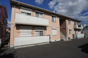 コスモス 102号-12