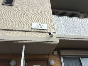 八重桜 103号-13