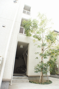 Ｄｒｅａｍ　Ｋｉｓｈｉ 302号-13