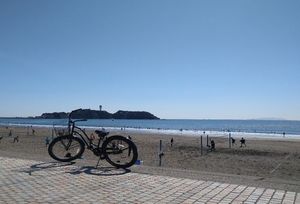 セレニータ藤沢 101号-13