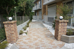 ｒｏｓａ 202号-12