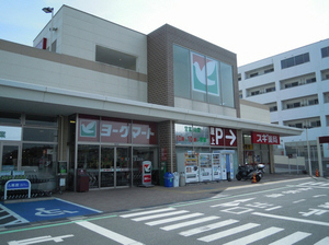 Ｃａｓｔｌｅ　Ｈａｓｅ　Ｃ 102号-13