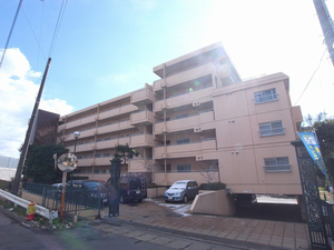 ジュネシオン柏