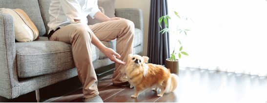 藤沢市西富二丁目戸建Ａ 101号-14