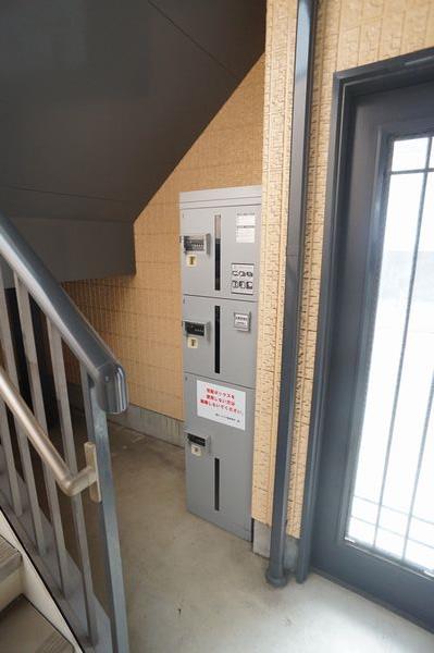 Ｓｕｎｎｙ　Ｃｌｉｍｂ 203号-12