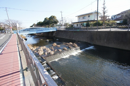 リヴェーラ 206号-14