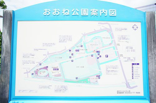 サニー・グレイス 101号-15