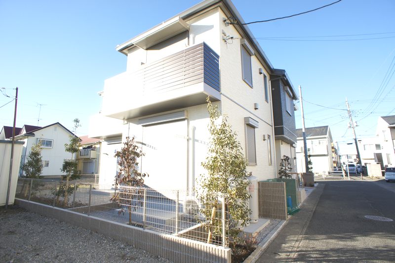 サイネリア202-1