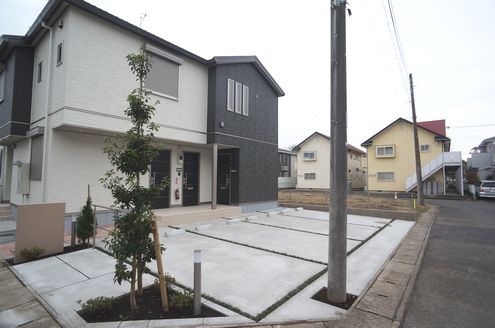 サイネリア 202号-12