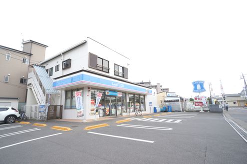 サイネリア 202号-15