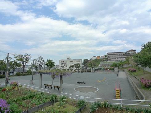 センターヒルズ池の端 C 102号-12