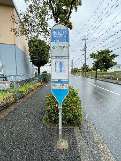 サングリーン桂台 203号-13