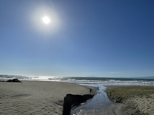 セリネ材木座 101号-15