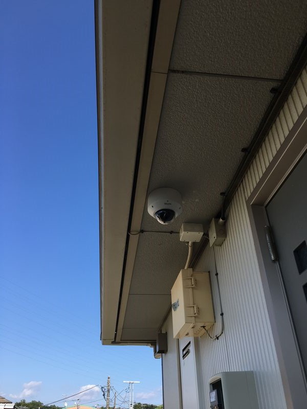 Sunny Court 202号-12