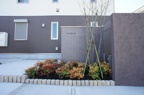 ＢｅｌｌＷｏｏｄ桂　Ｂ 101号-12