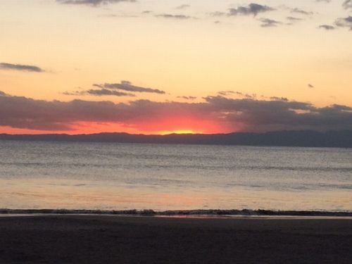 ホープSUNシャイン 301号-15