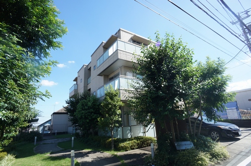 エクセレント日吉 301号-12