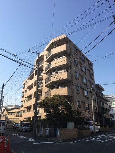 サングレイス矢向