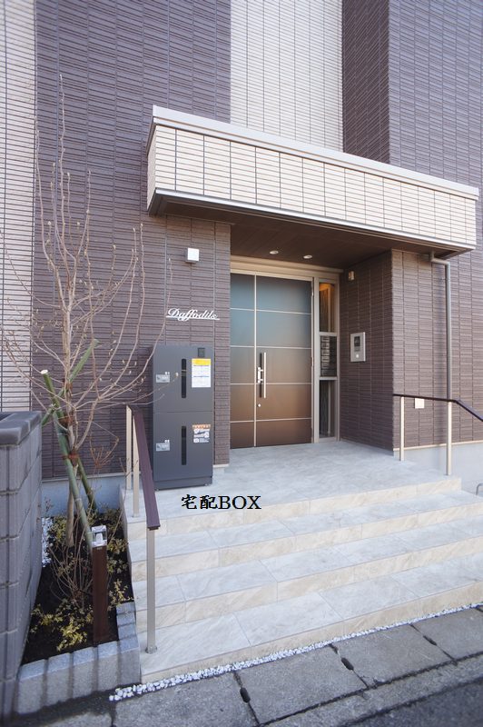 Daffodils 102号-13