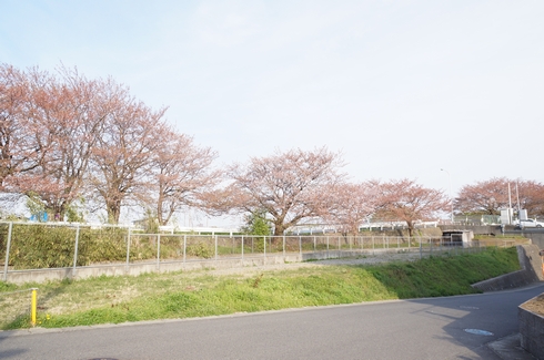 グレースT 201号-13