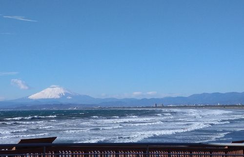 シャーメゾン茅ヶ崎東海岸 202号-14