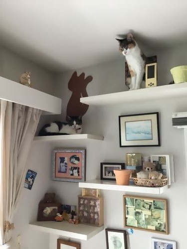 藤沢市西富二丁目戸建Ｂ 101号-3