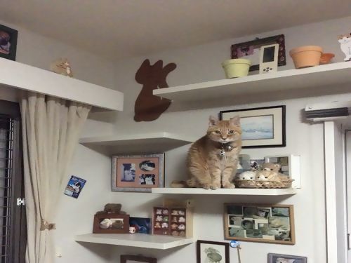 藤沢市西富二丁目戸建Ｂ 101号-4