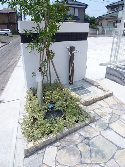 ルピナス　Ⅰ 203号-13